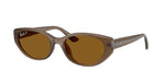 677983 - Transparent Brown / Dark Brown Polarized