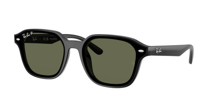 601/9A - Black / Dark Green Polarized