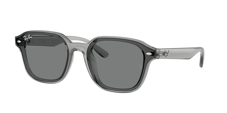 645087 - Transparent Grey / Dark Grey