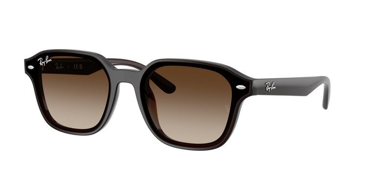 714/13 - Transparent Dark Brown / Gradient Brown