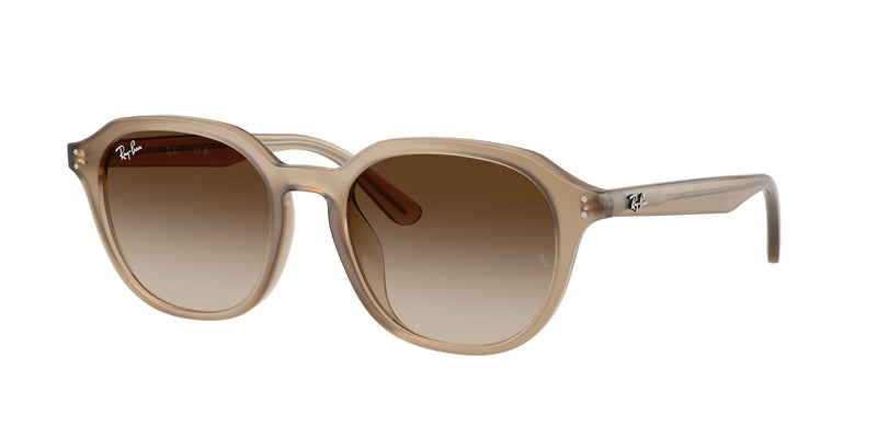 616613 - Turtledove / Gradient Brown