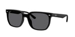 601S81 - Matte Black / Polarized Grey