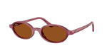 685773 - Violet Havana / Dark Brown