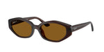 714/83 - Dark Brown / Dark Brown Polarized