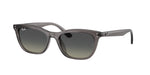 667511 - Transparent Dark Grey / Gradient Grey