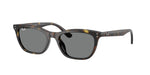 710/87 - Havana / Dark Grey