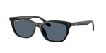 901/2V - Black / Blue Polarized