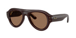 689673 - Transparent Dark Brown / Dark Brown