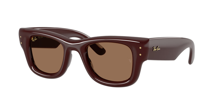 687773 - Dark Brown / Dark Brown