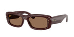 687773 - Transparent Dark Brown / Dark Brown