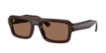689673 - Transparent Dark Brown / Dark Brown