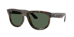 6790VR - Dark Havana / Dark Green
