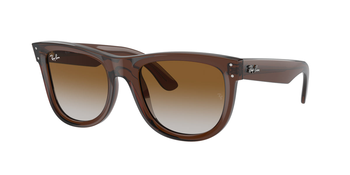 Ray-Ban 0RBR0502S WAYFARER REVERSE