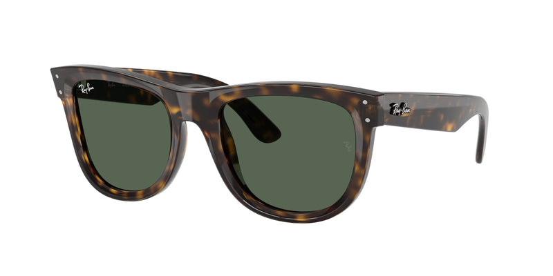 Ray-Ban 0RBR0502S WAYFARER REVERSE