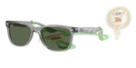 722871 - Transparent Grey / Dark Green