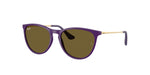 717973 - Rubber Violet / Dark Brown