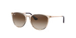710813 - Transparent Light Brown / Gradient Brown