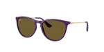 717973 - Rubber Violet / Dark Brown