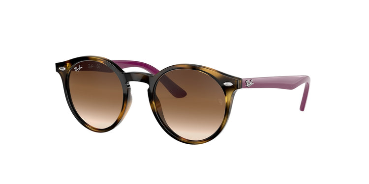 Ray-Ban 0RJ9064S