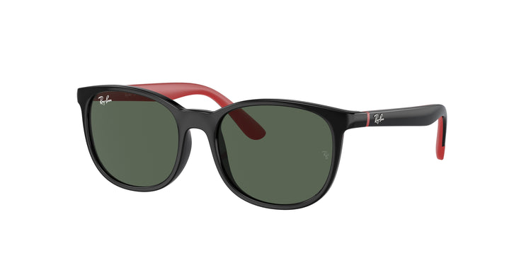 Ray-Ban 0RJ9079S