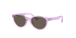 7172/3 - Transparent Violet / Brown
