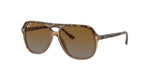7152T5 - Havana On Transparent Brown / Brown/Grey