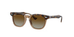 Ray-Ban 0RJ9098SF