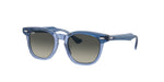 715911 - Top Violet On Transparent Violet / Grey