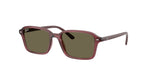 7197/3 - Transparent Dark Violet / Brown
