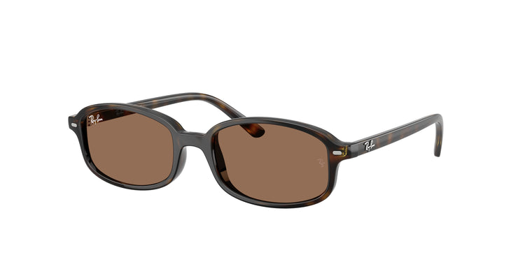 152/73 - Havana / Dark Brown