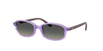 719911 - Transparent Violet / Grey