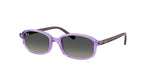 719911 - Transparent Violet / Gradient Grey