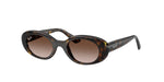 152/13 - Havana / Gradient Brown