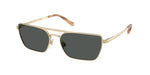 911687 - Shiny Pale Gold / Grey