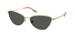 911687 - Shiny Pale Gold / Grey