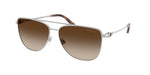 900113 - Shiny Silver / Gradient Brown