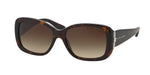 500313 - Shiny Dark Havana / Gradient Brown