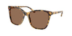 500473 - Spotty Havana / Brown