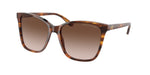 500713 - Shiny Striped Havana / Gradient Brown