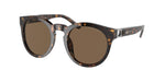 500373 - Shiny Dark Havana / Dark Brown