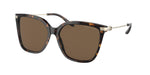 500373 - Shiny Dark Havana / Brown