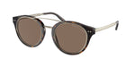 50025W - Havana / Brown