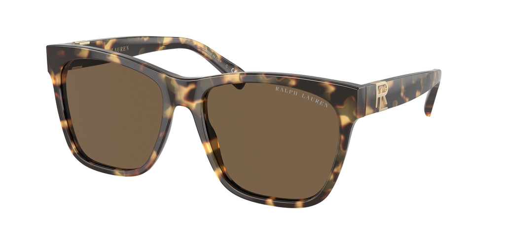 500473 - Havana / Brown