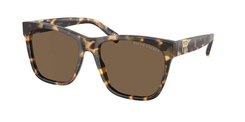 500473 - Havana / Brown