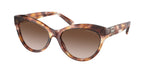 605413 - Havana / Gradient Brown