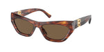 500773 - Striped Havana / Brown