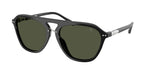 500131 - Shiny Black / Green