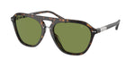 50034E - Dark Havana / Green