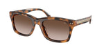 608913 - Havana / Gradient Brown