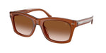 630613 - Opal Brown Bio / Gradient Brown